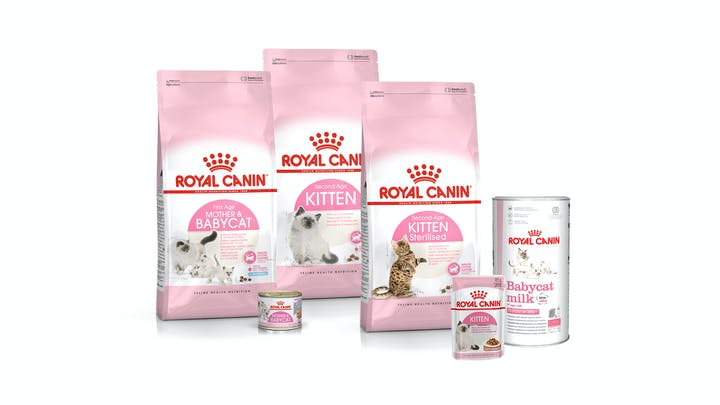 Royal Canin