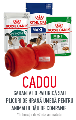 Royal Canin
